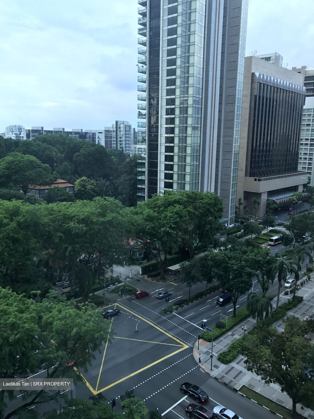 The Scotts Tower (D9), Condominium #377595581